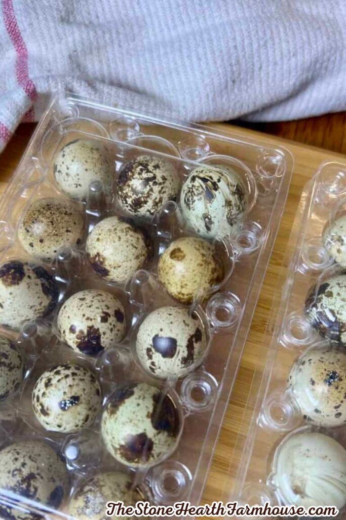 Fresh quail eggs in a clear carton on a wooden kitchen counter