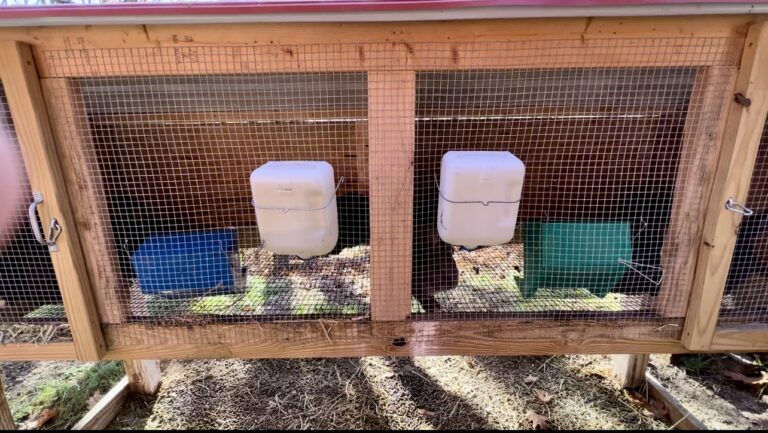 Rabbit hutch water bottles