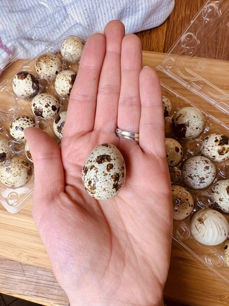 a hand holding one quail egg in the palm above other quail eggs in cartons. 
