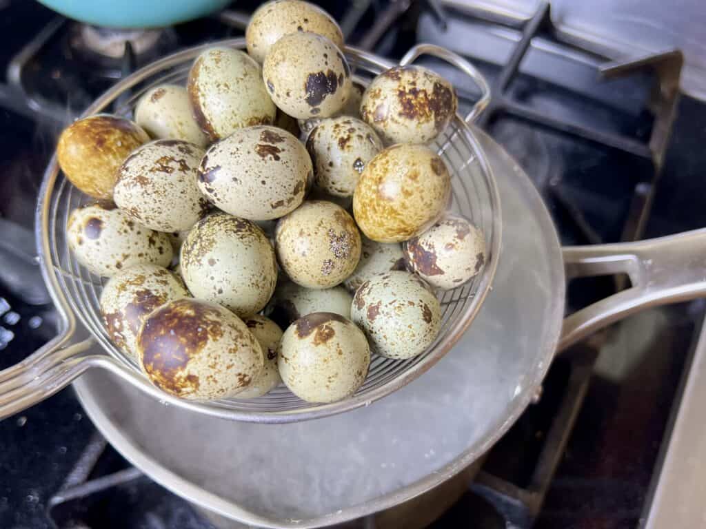 quail eggs in a slotted utensil about to go in the boiling water. 