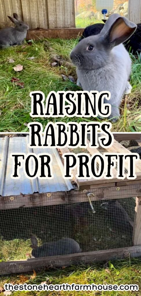 Raising rabbits for profit is a great way to start homesteading on a budget. Raise meat rabbits, set up affordable rabbit housing, choose the best meat rabbit breeds, and turn rabbits into a reliable income source. Perfect for beginners, backyard farms, and small homesteads looking for sustainable food and profit.