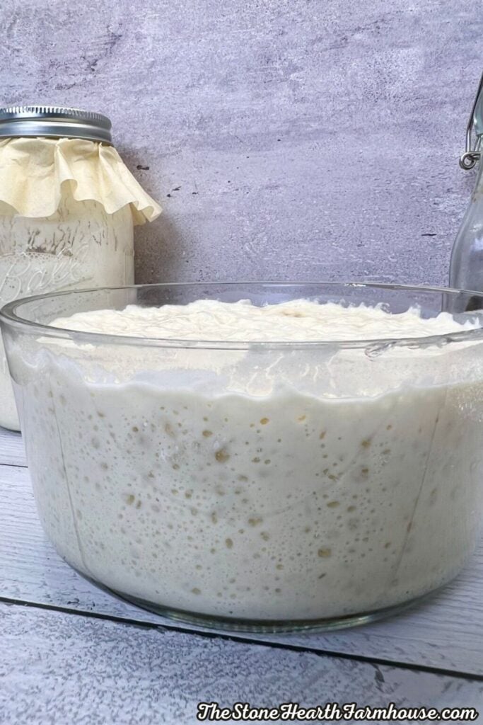 Homemade sourdough starter in a glass bowl ready to use for pancake batter