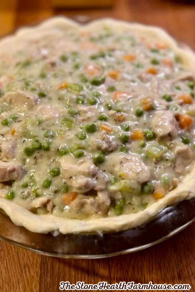 Creamy rabbit pot pie filling with tender rabbit meat, peas, carrots, and celery in a homemade pie crust