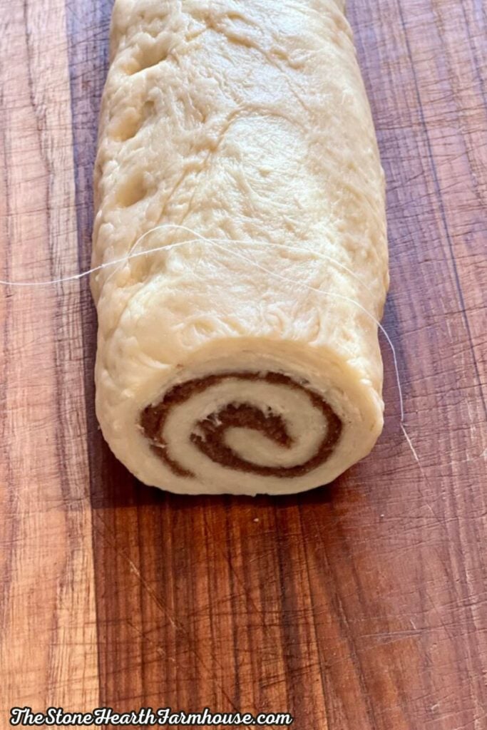 Sourdough cinnamon roll dough rolled into a log with a spiral cinnamon filling