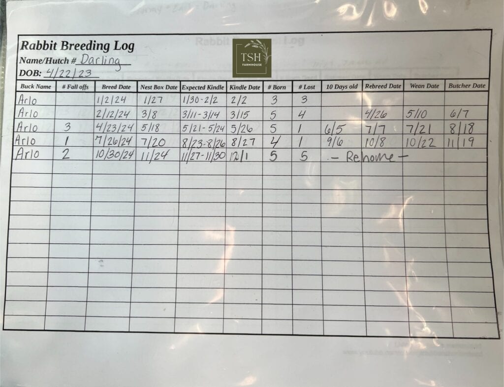 a rabbit breeding log.