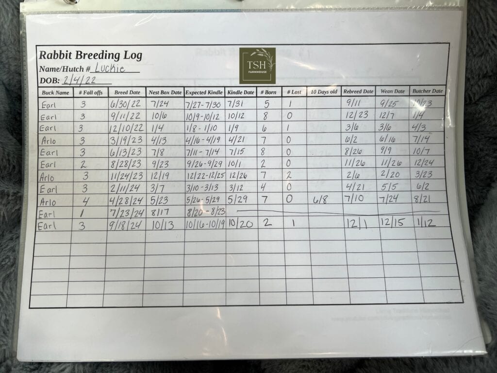 a rabbit breeding log