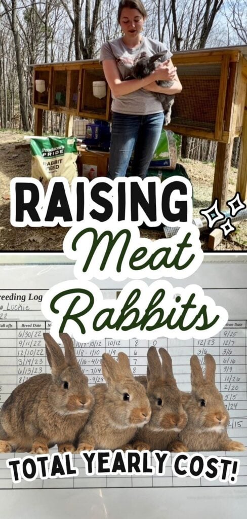 Curious about the cost of raising meat rabbits on your homestead? This guide breaks down the total yearly cost of raising meat rabbits. Perfect for new rabbit owners, beginner homesteaders, and anyone researching affordable backyard meat animals. Learn what to budget, how to track expenses, and why raising meat rabbits is one of the most cost-effective livestock options for small farms.