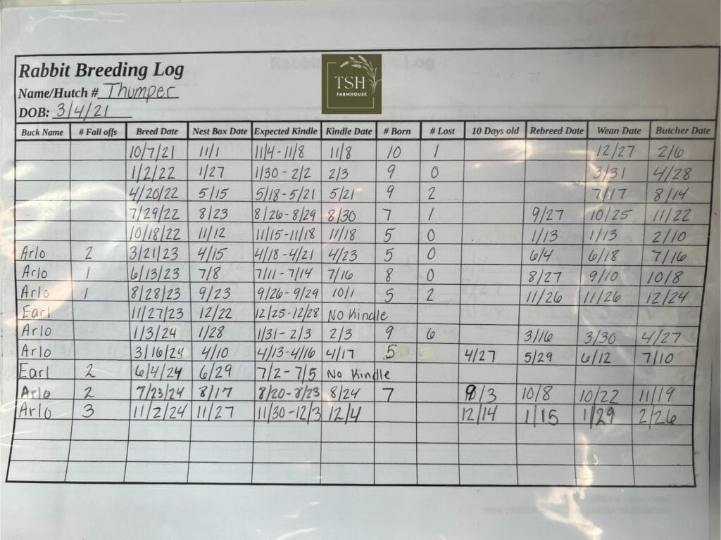 rabbit breeding log