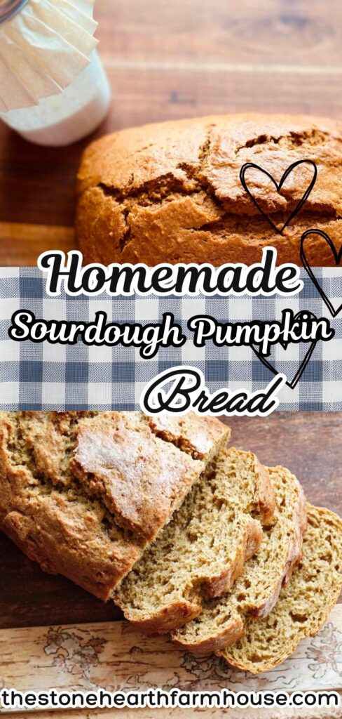 Best sourdough discard pumpkin bread baked as a quick bread using simple ingredients. This moist sourdough discard bread recipe is easy to make and perfect for fall baking. Made with unfed sourdough starter, pumpkin puree, and warm spices, this recipe can be baked same day or overnight. A delicious and reliable sourdough discard recipe for beginners and experienced bakers alike.