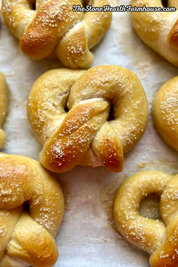 Freshly baked soft pretzels with golden brown crusts and coarse salt on top