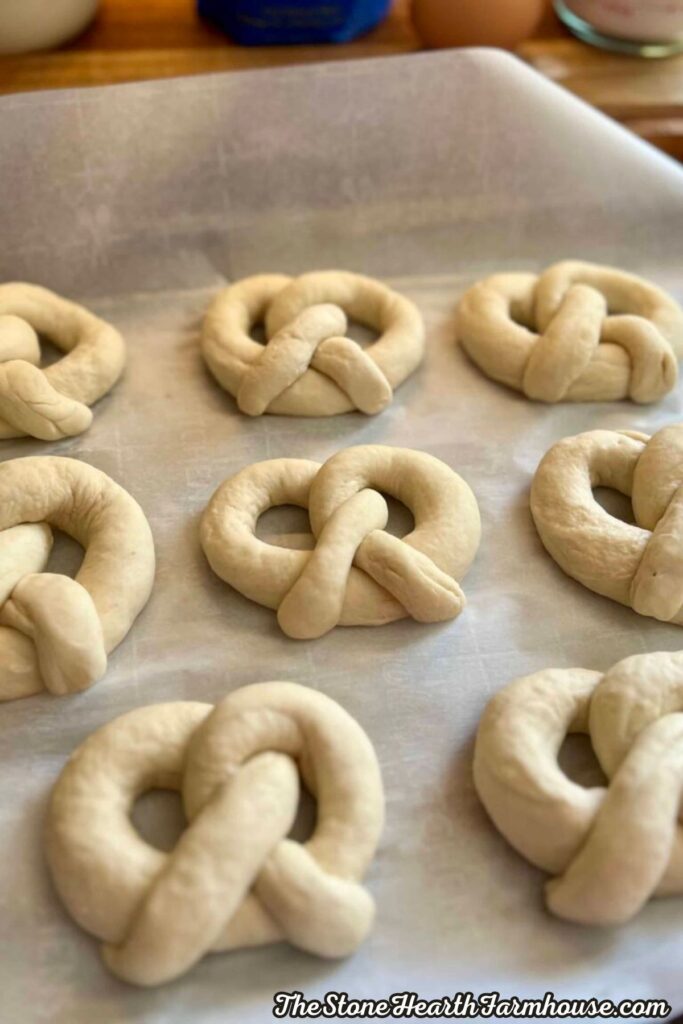 Unbaked soft pretzels shaped and arranged on a parchment-lined baking sheet