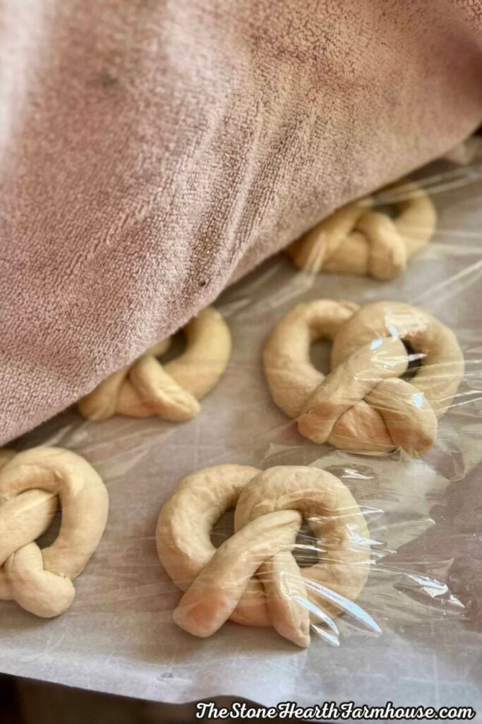 Pretzels covered with plastic wrap and a kitchen towel while the dough rises
