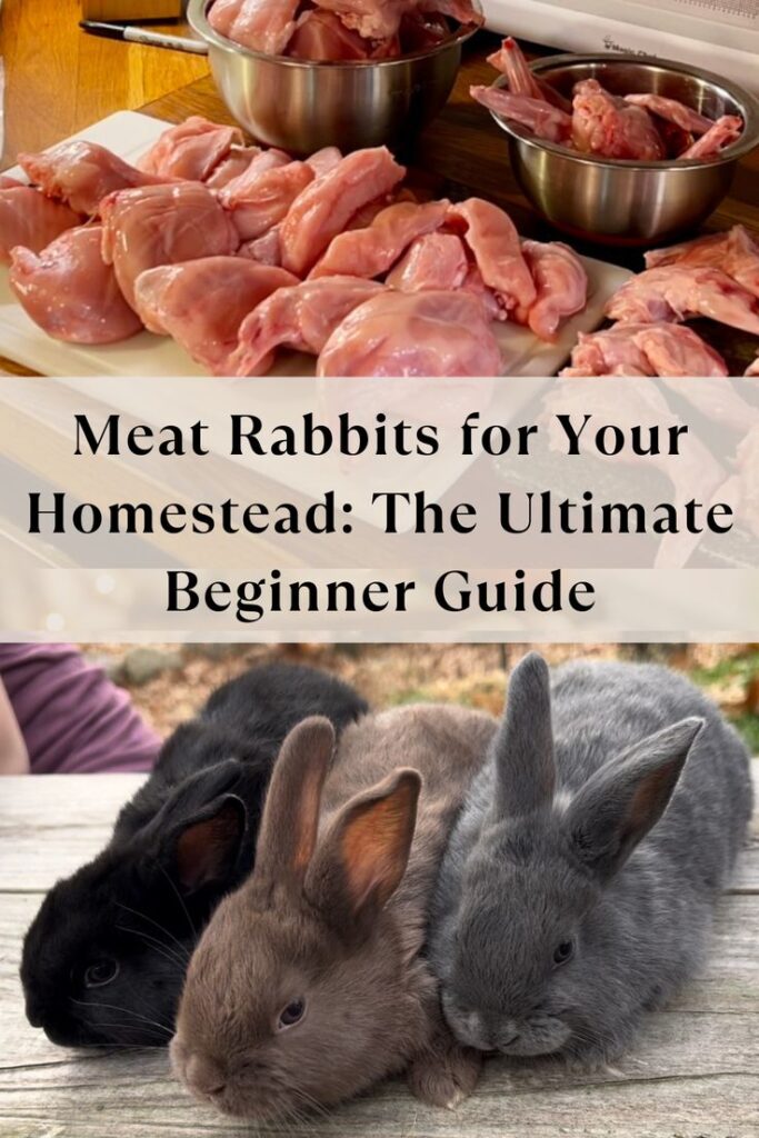 Top image shows bowls and trays filled with raw, processed rabbit meat. Bottom image shows three young rabbits—one black, one brown, and one gray—cuddled together on a wooden surface. Text overlay reads: 'Meat Rabbits for Your Homestead: The Ultimate Beginner Guide.