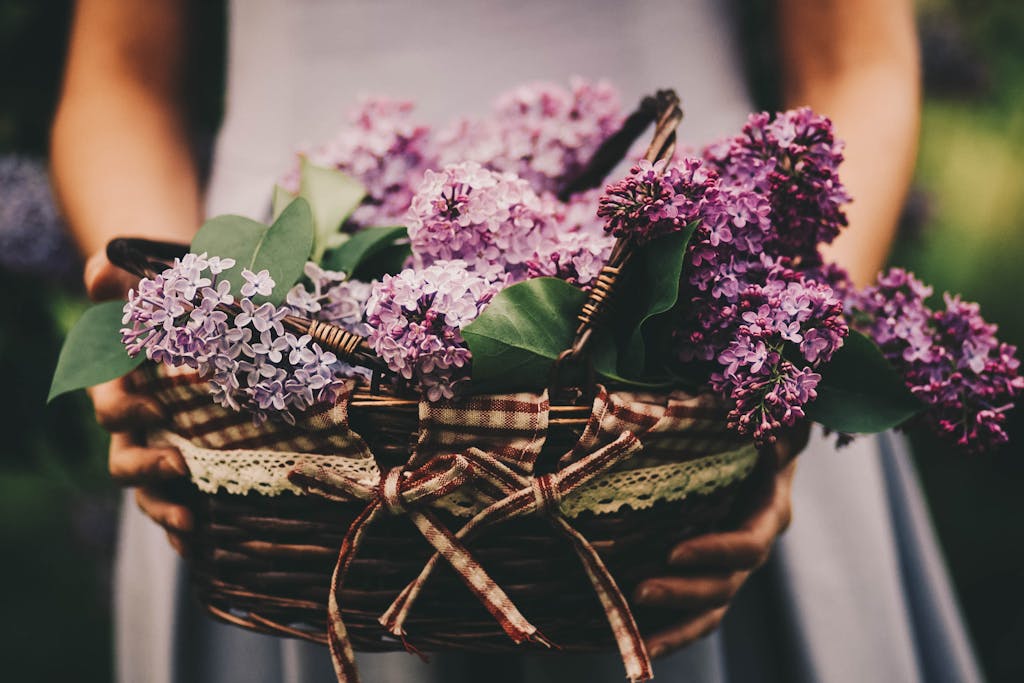 A close-up of a wicker basket filled with vibrant purple lilacs, held outdoors.