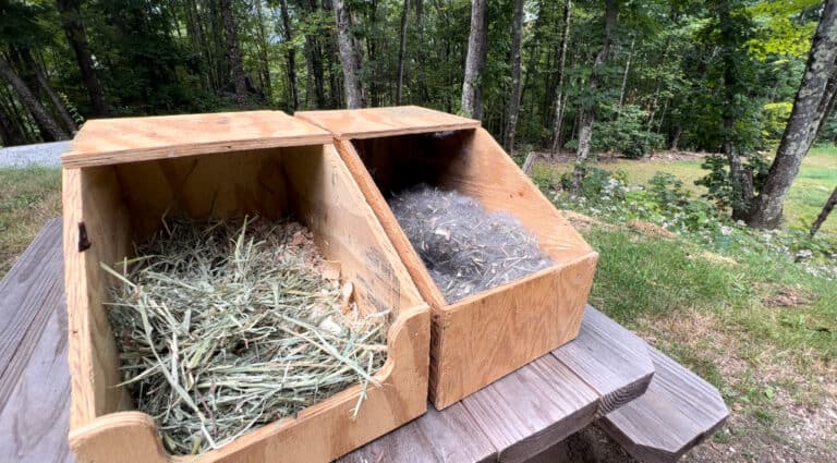 Rabbit Processing Homestead Meat Rabbits for Your Homestead: The Ultimate Beginner Guide