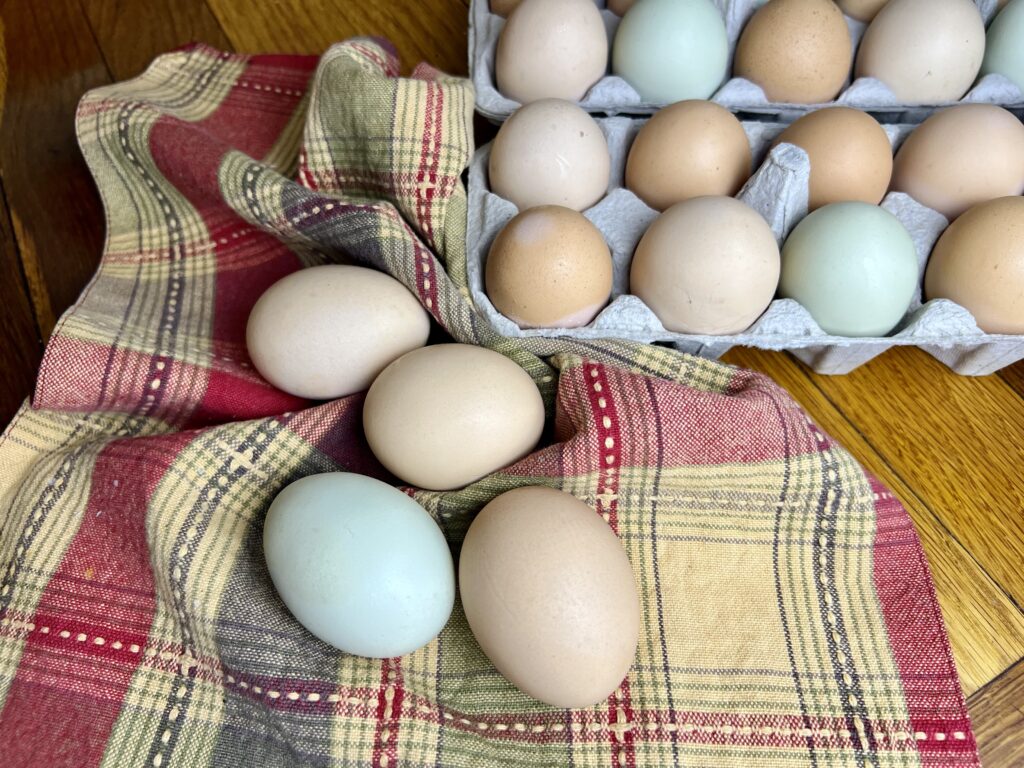 green, and brown farm eggs on a country style red plaid towel with a carton of eggs behind them.