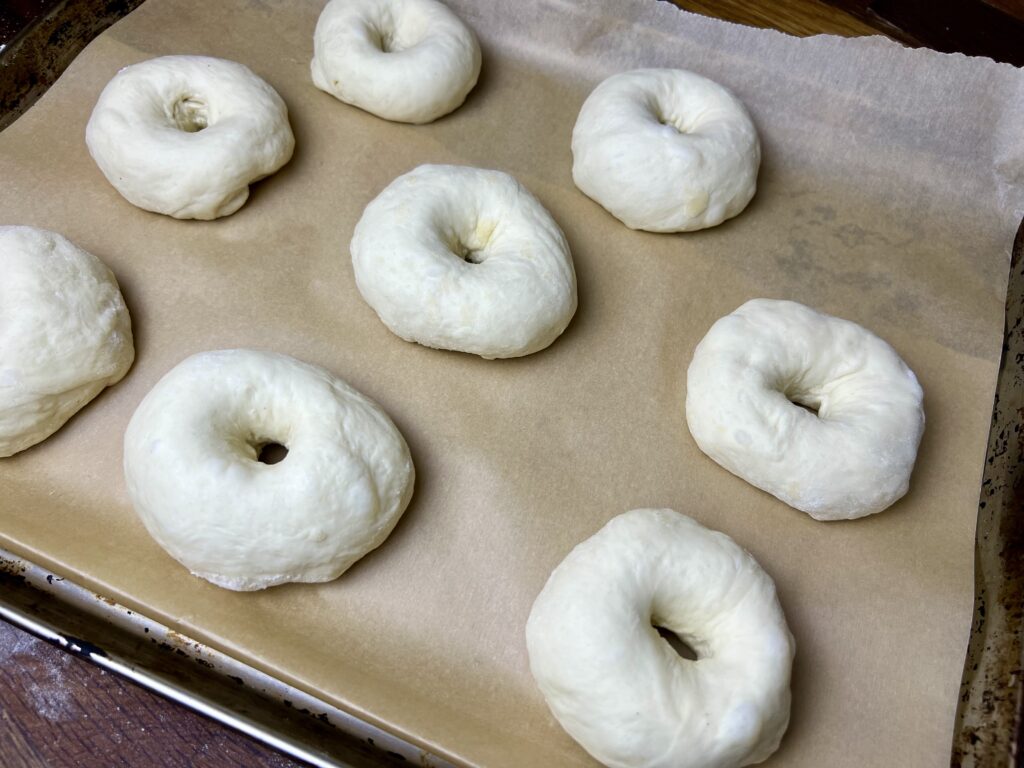 shaped bagels on a parchment lined baking sheet, ready to be boiled.