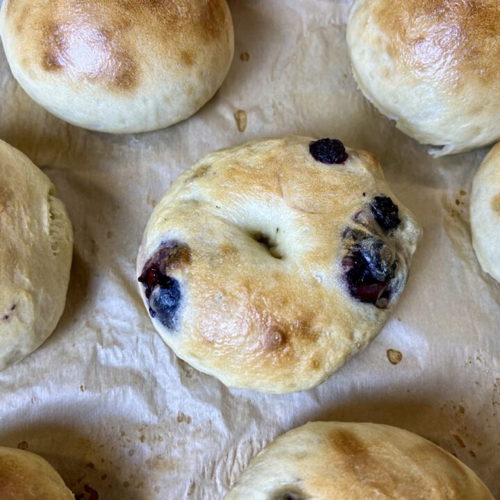 Sourdough Blueberry Bagels