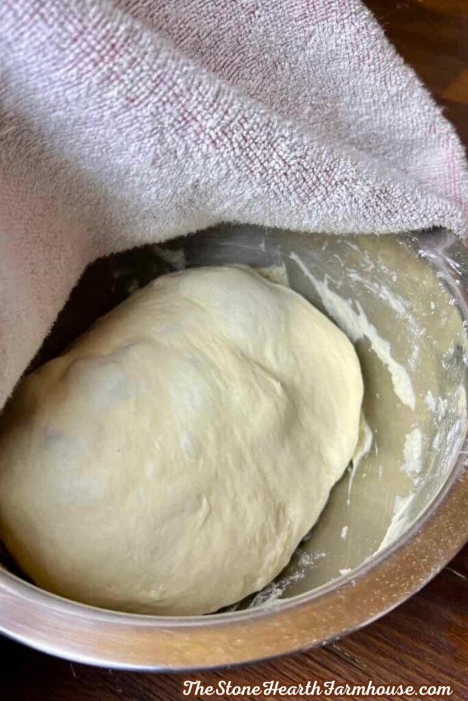 dough rising in a bowl on the counter. 
