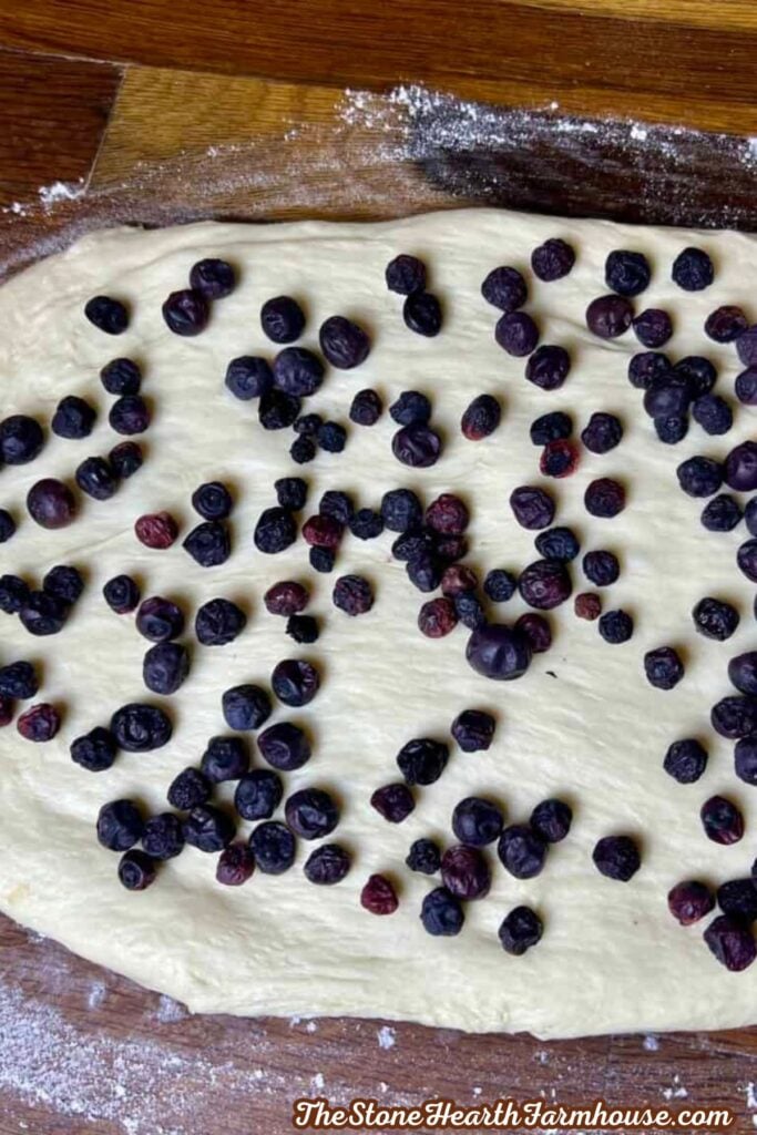 Dried blueberries spread over rolled sourdough bagel dough before shaping homemade blueberry bagels