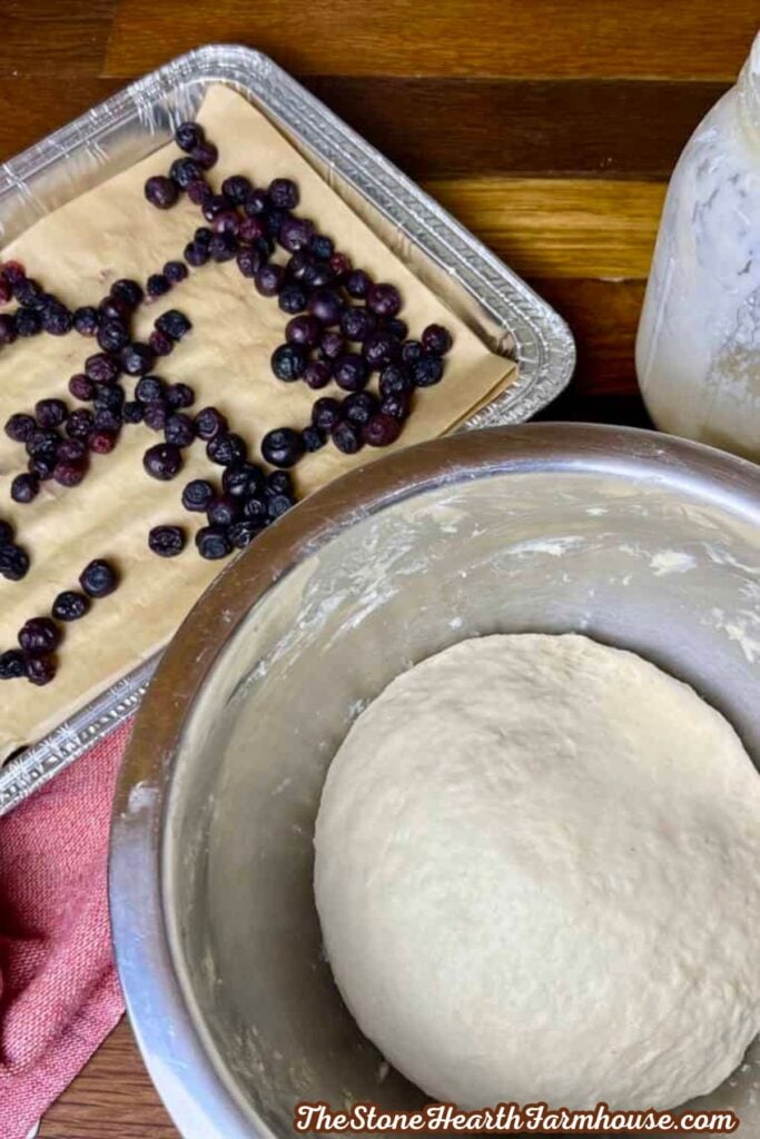 Sourdough bagel dough resting in a bowl beside dried blueberries before shaping blueberry bagels