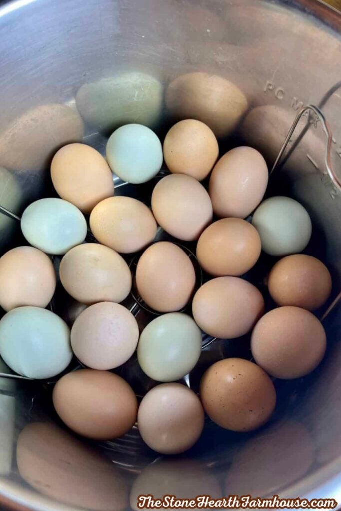 Fresh eggs arranged on the trivet inside an Instant Pot before cooking under pressure.