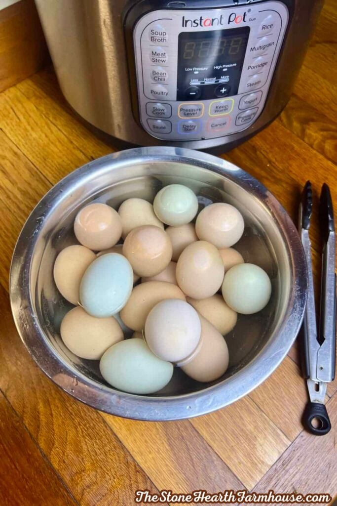 hard coiled eggs in an ice water bath.