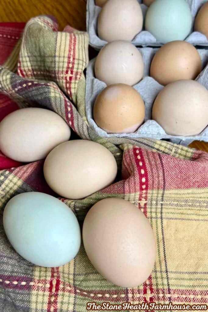 Fresh farm eggs in assorted natural shades arranged in an egg carton and on a plaid farmhouse kitchen towel.