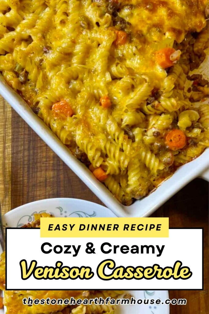 Cozy and creamy venison casserole made with pasta, carrots, cheese, and ground deer meat baked in a white casserole dish, hearty and easy homestead dinner recipe.