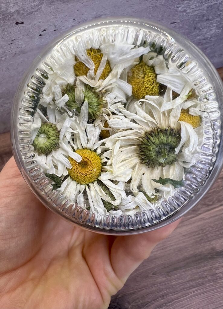 A hand holding a bowl filled with dried flowers.