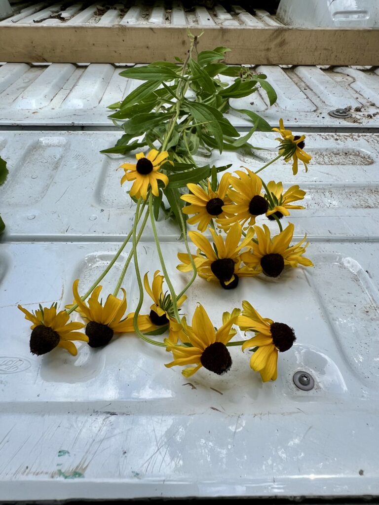 freshly picked flowers in the back of a pick up truck. 