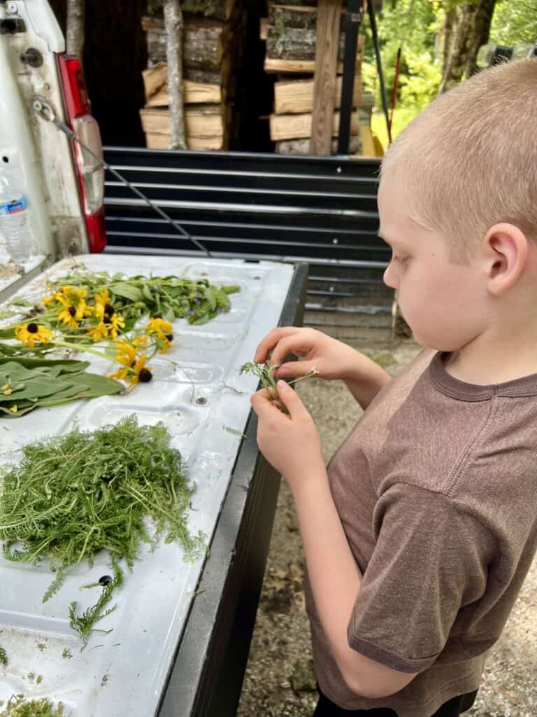 a young boy helping take flowers apart to dry them out.