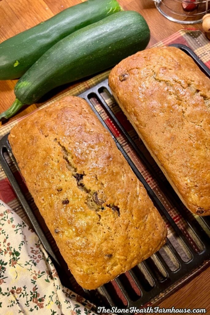 Homemade zucchini bread with raisins sliced and served alongside a whole fresh zucchini, styled on a farmhouse kitchen counter.
