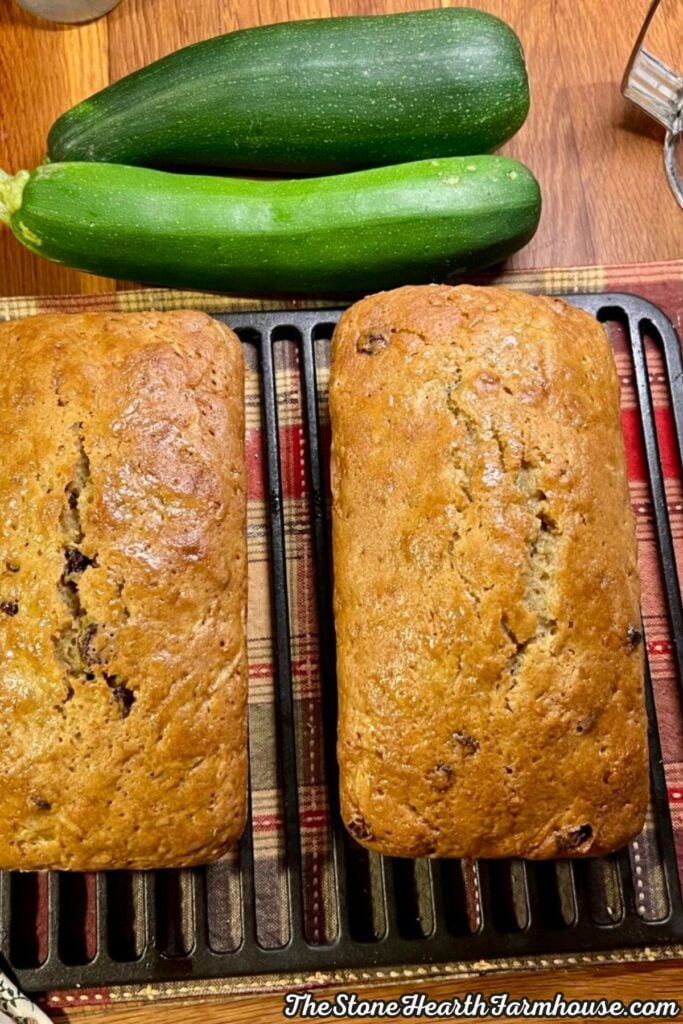 Two freshly baked loaves of zucchini bread with raisins cooling in loaf pans, with garden zucchini in the background.