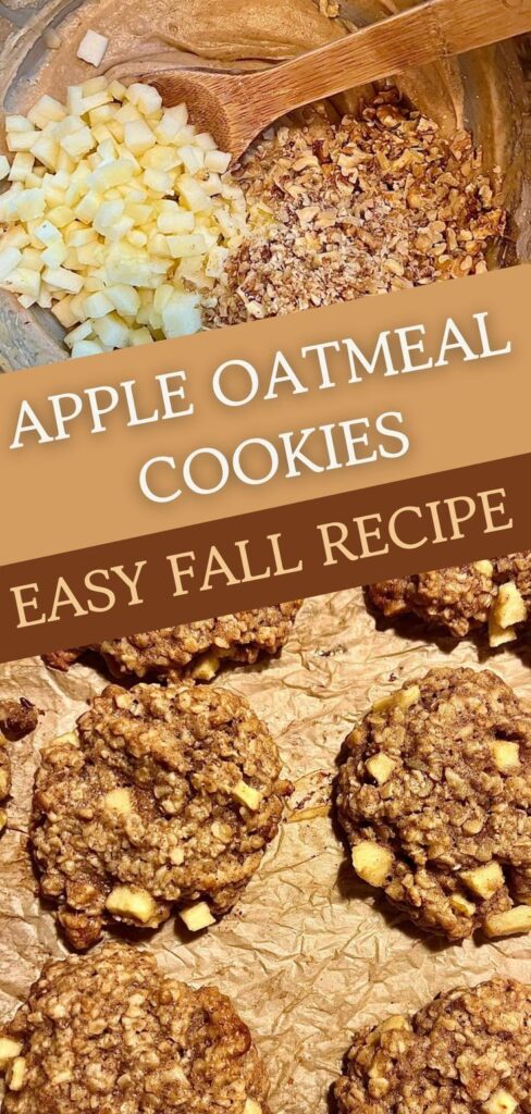 These Oatmeal Apple Cookies are soft, chewy, and filled with warm fall spices. Fresh apples add sweetness and moisture, while hearty oats give them a wholesome texture. Perfect as a fall dessert, cozy snack, or even a quick breakfast treat, these cookies are a must-bake for apple season!
