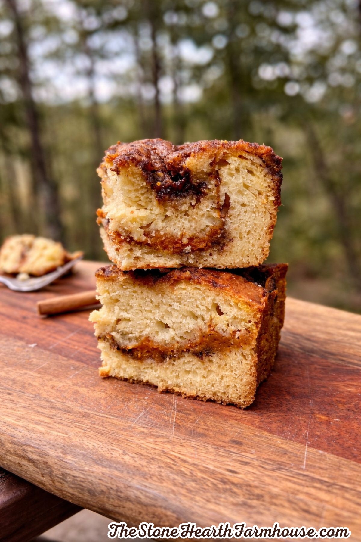 Close-up of tender pumpkin cake slices showing the cinnamon swirl and golden streusel topping.