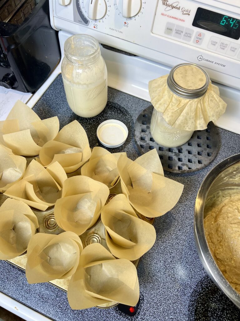Kitchen scene showing sourdough banana muffin batter being prepared, with a muffin tin lined with parchment tulip liners, jars of active sourdough starter on the stove, and a mixing bowl filled with batter ready to bake.