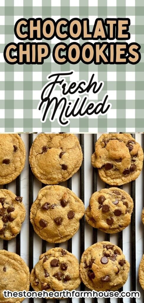If you’re baking with fresh milled flour, these chocolate chip cookies are a must-try. Soft, flavorful, and made completely from scratch, they showcase the difference freshly ground wheat makes in homemade desserts. Perfect for homesteaders, traditional bakers, and anyone wanting healthier cookies without sacrificing taste. Save this fresh milled baking recipe!