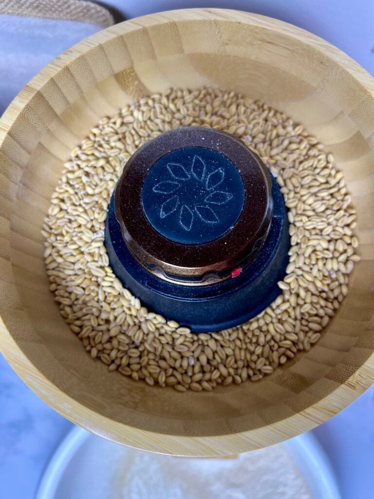 Fresh milled flour being ground from soft white wheat berries for homemade chocolate chip cookies