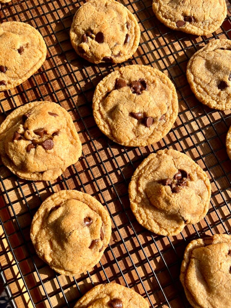 Homemade fresh milled chocolate chip cookies baked with whole wheat berries and real butter