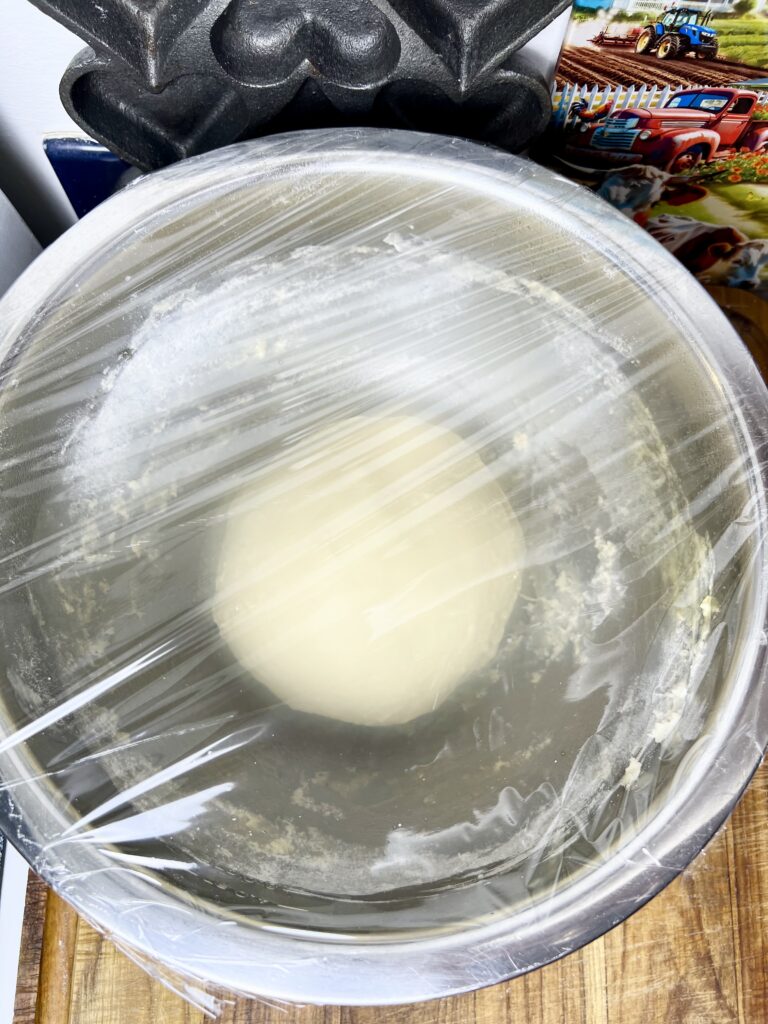 The freshly kneaded and set into a stainless steel bowl and covered in plastic wrap to ferment over night.