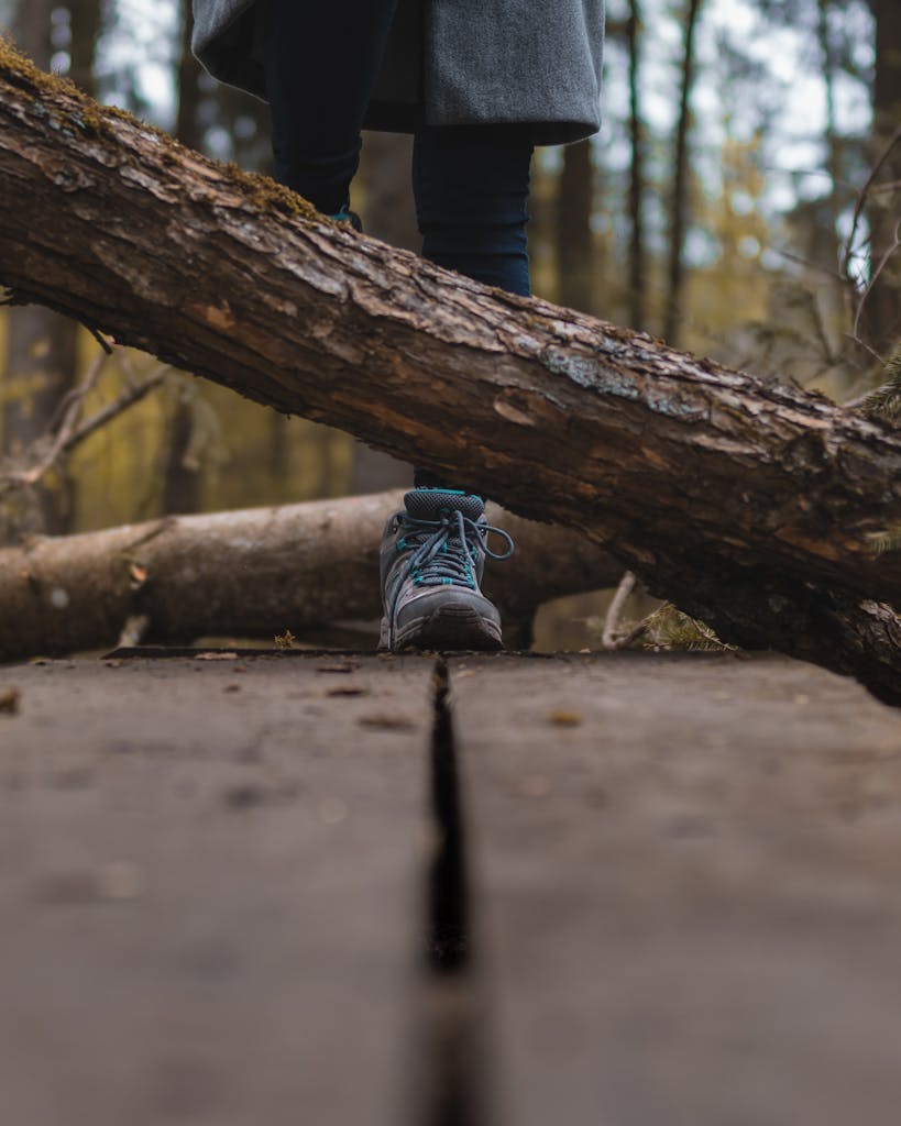 A person hiking on a forest trail overcoming a fallen tree obstacle in Lithuania.