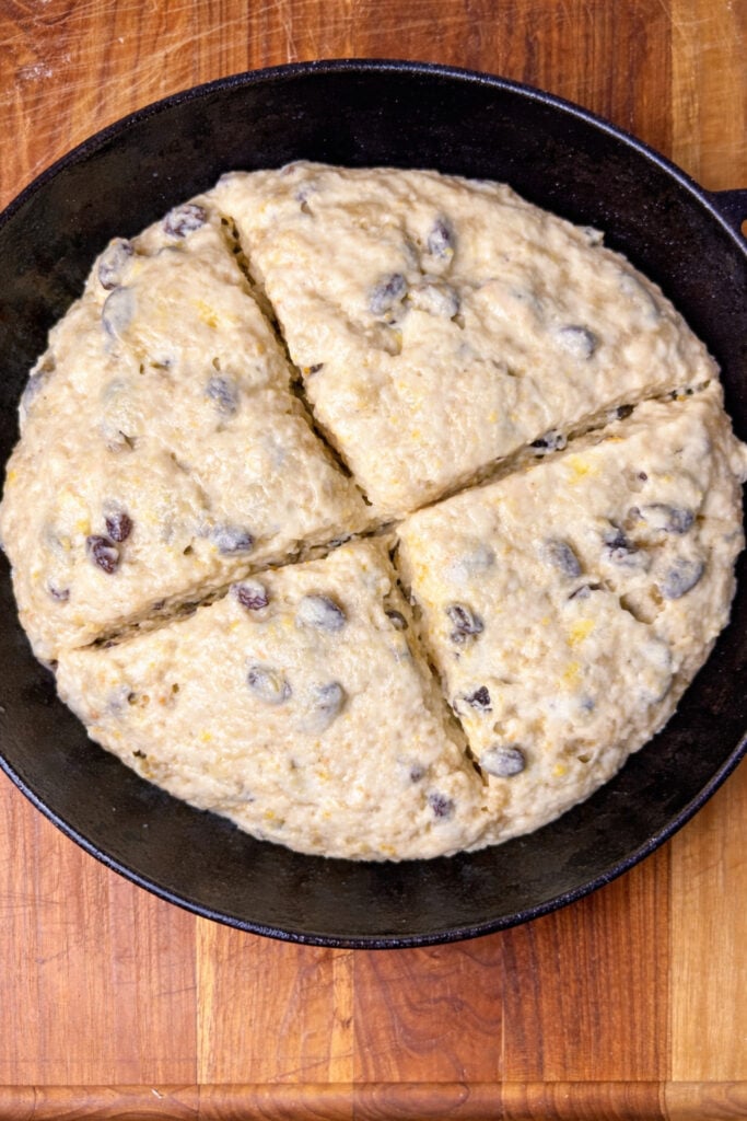 sourdough Irish soda bread dough with raisins shaped in cast iron skillet before baking