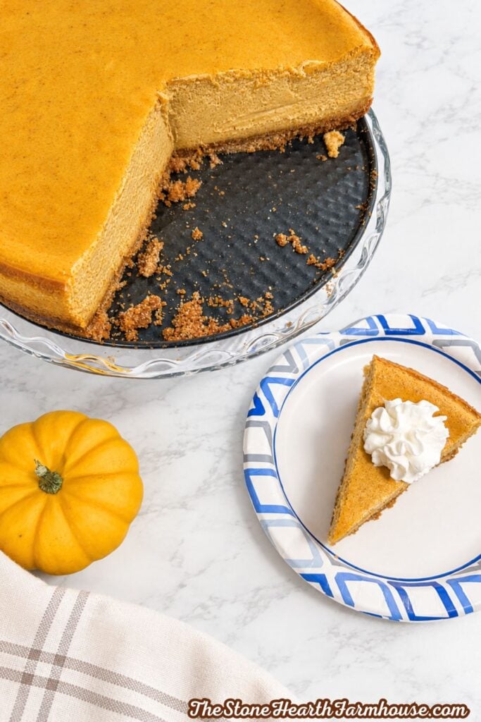 Slice of homemade pumpkin cheesecake with whipped cream served on a blue and white plate beside a whole pumpkin