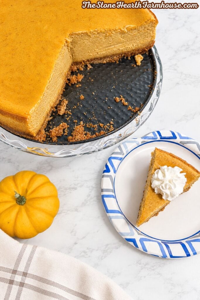 Slice of homemade pumpkin cheesecake with whipped cream on a blue and white plate beside a whole pumpkin