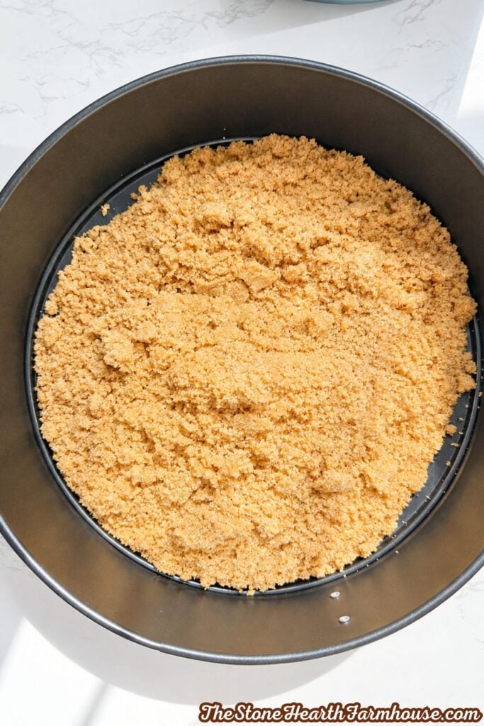 Graham cracker crust mixture spread evenly in the bottom of a round springform pan