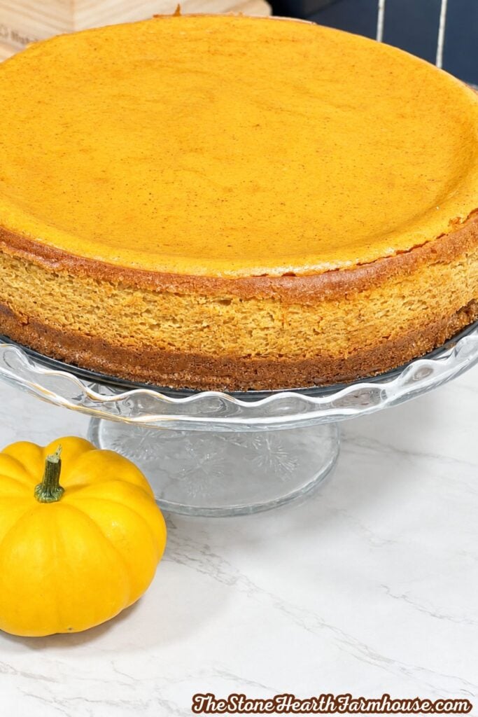 Homemade pumpkin Spice cheesecake on a glass cake stand with a graham cracker crust and small pumpkin