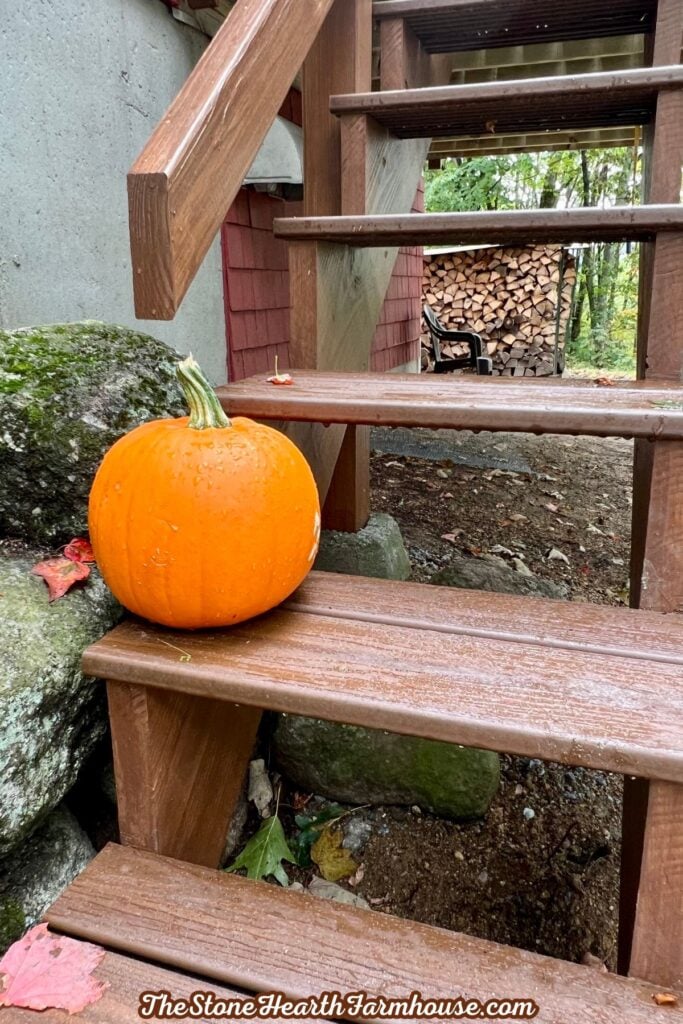 Small pumpkin sitting on wooden outdoor steps with stacked firewood in the background