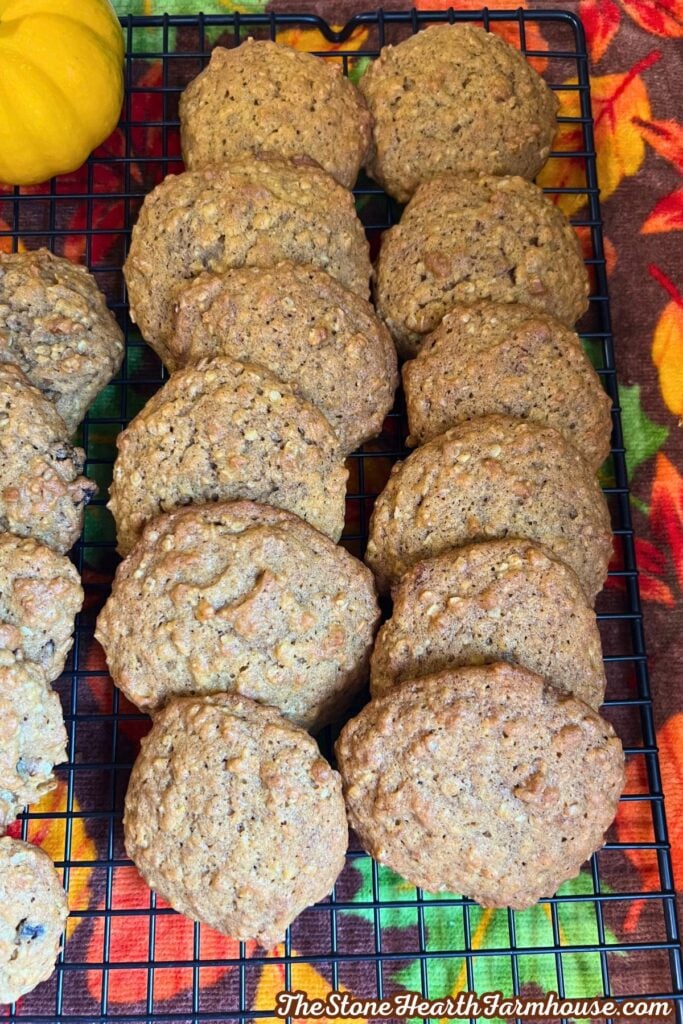 plain cookies cooling on rack. 