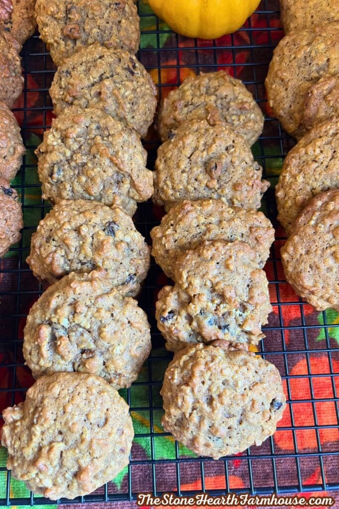 cookies with chopped pecans and raisins inside cooling on a rack.